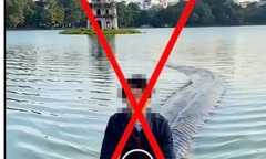 Dùng AI đăng video sai sự thật về hồ Hoàn Kiếm, một trường hợp bị xử lý