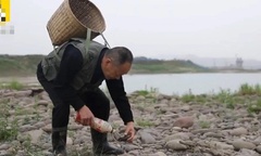 Ra suối nhặt đồ  "vừa nặng vừa cứng ", dân làng đổi đời, thu hàng chục tỷ mỗi năm
