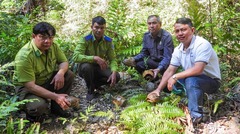 Thả tê tê java và rùa núi vàng quý hiếm, có tên trong Sách Đỏ về rừng tự nhiên