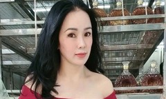 YouTuber Lan Đinh sắp hầu tòa 