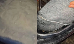 Miền núi Đà Nẵng xuống 1 độ C, băng giá bất ngờ bao phủ thủ phủ sâm Ngọc Linh