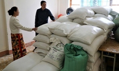 Quảng Ngãi: 56 học sinh chưa được nhà trường cấp gạo vì vướng quy định trong nội dung một phụ lục văn bản