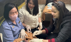 Tiếp viên đường sắt hỗ trợ sản phụ sinh con an toàn trên tàu ra Hà Nội