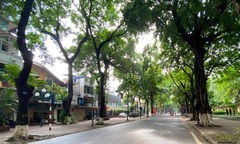 Tin tức dự báo thời tiết hôm nay 13/1: Bắc Bộ sáng sớm và đêm trời rét, vùng núi rét đậm