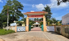 Thông tin mới nhất vụ 40 học sinh ở Quảng Trị nhập viện vì ngộ độc