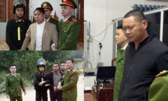 Khởi tố, bắt tạm giam 3 đối tượng ngang nhiên phá hoại rừng sản xuất