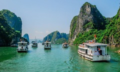 Cẩm nang du lịch Tết Hạ Long 2026
