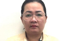 Bắt giữ  Nguyễn Thụy Saly 