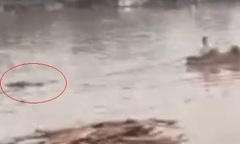 Tin pháp luật nổi bật 24h qua: Điều tra nguyên nhân vụ thi thể nữ giới trôi trên sông Đồng Nai