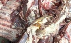 Sự thật hình ảnh  "sườn heo đông lạnh có màu lạ " tuồn vào một trường tiểu học ở TP.HCM