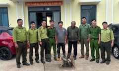 Phát hiện  "chúa tể bầu trời " vướng vào lưới quây chuồng gà, người đàn ông bắt rồi nộp cơ quan chức năng