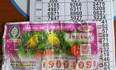 Tự tay ném  "lộc trời " vào thùng rác, người phụ nữ ở Tây Ninh nhận cái kết  "không ai dám tin "