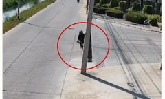 Camera ghi lại khoảnh khắc xe phân khối mất lái đâm gãy cột điện tại Thái Lan
