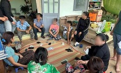 Bắt quả tang 9 người "làm điều mờ ám " trong vườn sầu riêng