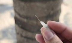 Đơn vị quản lý lên tiếng trước phản ánh kim tiêm xuất hiện trên bãi biển du lịch Đà Nẵng