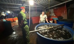 Người tiêu dùng mua ốc bươu bị ngâm "thủy tinh lỏng ", đòi bồi thường được không?