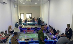 Lâm Đồng: Triệt phá tụ điểm đánh bạc  "núp bóng " tiệm game bắn cá