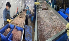 Bên trong kho lạnh chứa gần 60 tấn lòng lợn bốc mùi, đổi màu ở Hà Nội