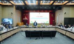 Sẽ rà soát toàn diện hệ thống văn bản quy phạm pháp luật trên cả nước