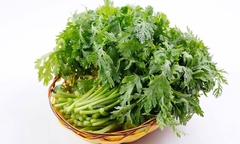 Lợi ích tuyệt vời của rau cải cúc với sức khỏe