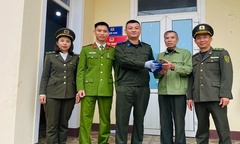 Người dân giao nộp con vật có mai vàng quý hiếm bò vào vườn nhà 
