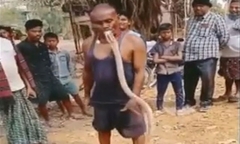 Clip: Người đàn ông dùng miệng cắn rắn hổ mang cực độc giữa đám đông, kết cục gây bất ngờ