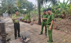 Bắt được chim quý có chiếc mỏ  "lạ ", là động vật hoang dã, nam thanh niên báo cơ quan chức năng