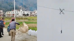 Dùng drone vận chuyển lợn ăn Tết, người đàn ông làm cả làng mất điện suốt 10 giờ