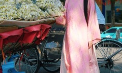 12 con giáp Tết này mặc áo dài màu sắc gì để cả năm may mắn?