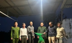 Phát hiện con vật quý hiếm  "lắm lông ", nặng 6kg  "đi lạc " vào vườn nhà dân ở Hưng Yên