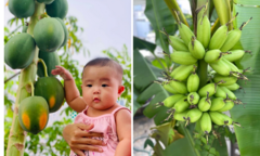  Người phụ nữ ở TP.HCM biến sân thượng thành  "thiên đường " xanh mướt khiến ai cũng ngỡ ngàng