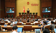 Những ngày đêm không ngủ  "sắp xếp lại giang sơn "