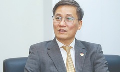 Thư chúc Tết của Chủ tịch Hội Luật gia Việt Nam nhân dịp Tết Nguyên đán Bính Ngọ 2026