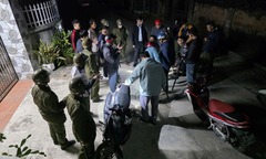 Khởi tố đối tượng tẩm chất  "cực độc " vào cá khô bẫy chó, mèo ở Hải Phòng