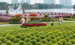 Ecopark tràn ngập sắc hoa tại các đại đô thị khắp 3 miền dịp Tết Bính Ngọ 2026