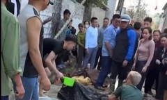 Dựng cây nêu đón Tết, 3 thanh niên bị điện giật phải nhập viện cấp cứu ở Nghệ An