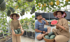 Cận cảnh  "siêu vườn " 100 m2 trên sân thượng giữa TP.HCM, rau trái trĩu giàn, nhìn là mê mẩn