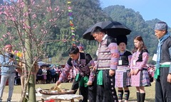 Độc đáo lễ hội Gầu Tào của đồng bào Mông ở Pà Cò