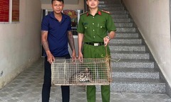 Tin tức thời sự 24h: Người dân giao nộp con vật quý hiếm