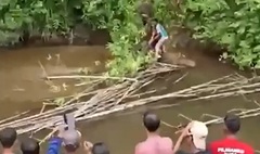 Đang bắt ốc sên, người phụ nữ bị cá sấu dài 5,8 mét tấn công, tử vong thương tâm