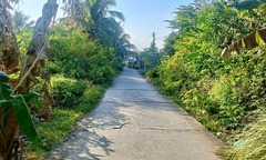 Vụ hai mẹ con bị sát hại ở Cà Mau: Hé lộ nguyên nhân ban đầu