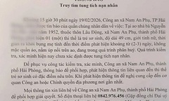 Xác minh vụ phát hiện thi thể một trẻ sơ sinh tại ao nhà dân ở Hải Phòng