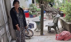 Tin pháp luật nổi bật 24h qua: Đang cầm cái đánh  "bầu cua " ăn tiền,  "quý bà " 56 tuổi bị bắt giữ