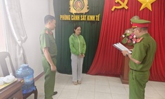 Khởi tố nữ giám đốc làm khống hơn 500 hóa đơn để trục lợi tiền thuế
