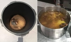 Chế biến thịt tê tê thành  "món ăn lạ " cho khách, 3 người khu nghỉ dưỡng đối diện án tù