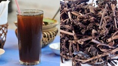 Nhân trần có giúp thải độc gan?