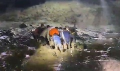 Clip: Đang tắm, người đàn ông bị cá sấu cắn tử vong