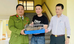 Phát hiện loài vật quý hiếm trên đường phố, người dân giao nộp cho công an