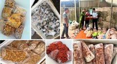 Phát hiện, thu giữ 4 tấn thực phẩm không rõ nguồn gốc ở Thanh Hóa