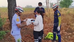 Clip: Tá hỏa phát hiện trẻ sơ sinh với nhiều vết côn trùng cắn giữa đồng hoang
